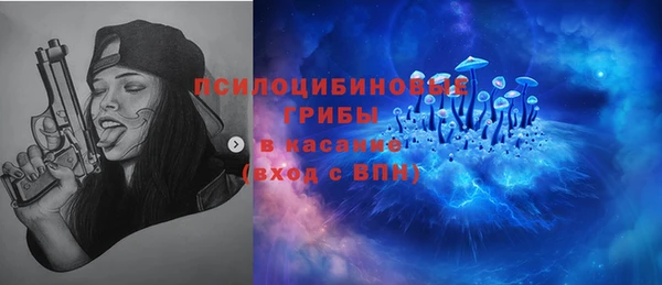 спиды Алексеевка