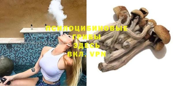 спиды Алексеевка